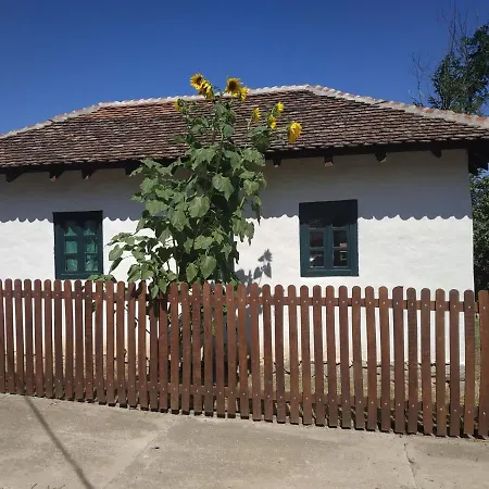 Stara Kovacnica Dom wakacyjny Golubac
