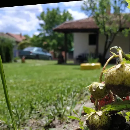 Dom wakacyjny Stara Kovacnica *