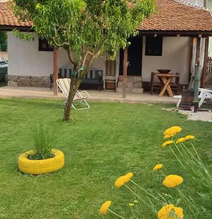 Stara Kovacnica Dom wakacyjny Golubac